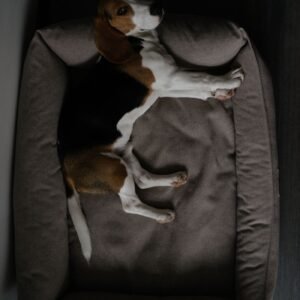 Deep Sleep Calming Nest
