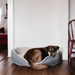Ripstop Chew-Resistant Dog Bed