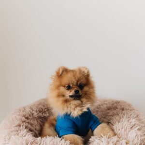 Washable Crate Bumper Set